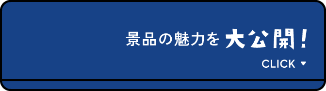景品の魅力を大公開！