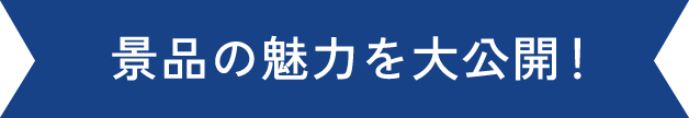 景品の魅力を大公開！
